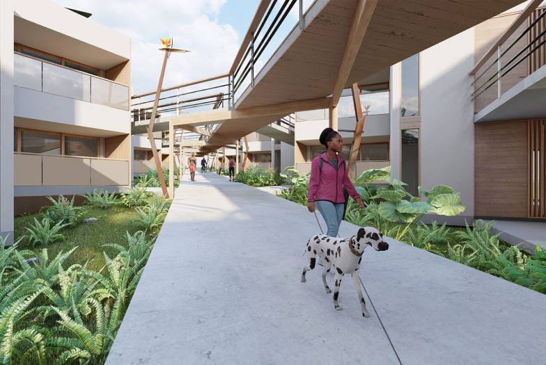 Bird of Paradise Featured 784x525 1